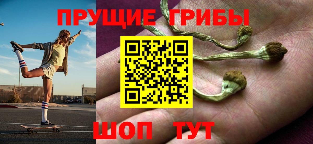 Псилоцибиновые грибы GOLDEN TEACHER Ростов-на-Дону